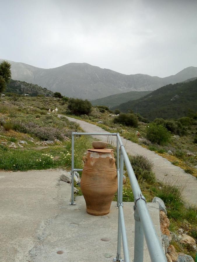 Villa Casablu Stavrokhorion Esterno foto